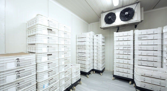 Cold Room Solutions